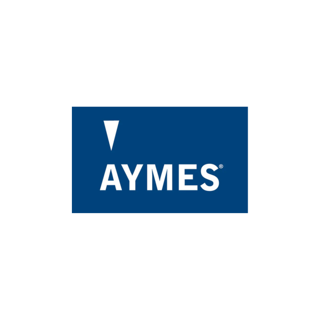 AYMES wins International Brilliance Awards 2017