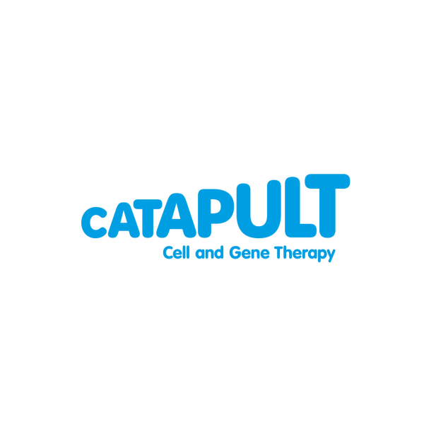 CATAPULT wins International Brilliance Awards 2025